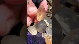 Finding Natural Smoky Quartz Quartz Crystal Gemstones By Mining Hand In River quartz crystals [upl. by Anyalram]