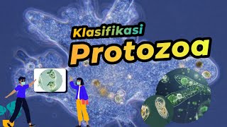 Klasifikasi Protozoa  Protista Mirip Hewan  Dunia Biologi [upl. by Marketa]