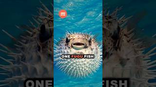 Deadly Fugu Fish Poisonous Delicacy 🐡💀  shorts facts [upl. by Acemahs]