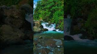 Nature Sounds Waterfall River Relaxation MeditationRelaxing Calm River Water flow for Sleeping [upl. by Stav938]