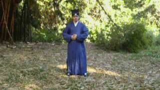 Taoist monk Tian Xin Shan in BrazilWudang Sanfeng Tai Chi exercises [upl. by Marijn]