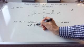 Reactions of Amino Acids [upl. by Innavoj350]