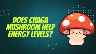 Does Chaga Mushroom Supplement Help With Energy Levels [upl. by Miles]