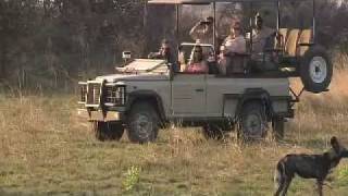 Wilderness Safaris  Sustainable Tourism [upl. by Hajile]