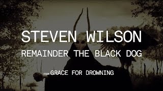 Steven Wilson  Remainder the Black Dog Studio Version [upl. by Michella]