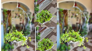 gardening ideas with waste meterials l hanging planter from waste meterial l diy gardening l [upl. by Eirlav]