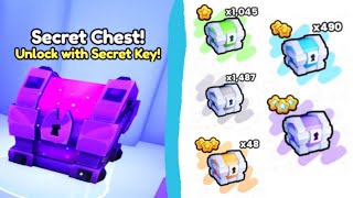 I Got The Secret Key I Got A Lot Of Treasure Chests In PETS GO [upl. by Wester]