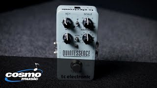 TC Electronic Quintessence Harmonizer Quickview  Cosmo Music [upl. by Ydnem]