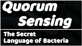 Quorum Sensing The Secret Language of Bacteria [upl. by Assilym316]