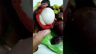 My Favorite Mangosteen Fruit [upl. by Eanil]