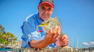 Pittwater Bream MFB 28012017 [upl. by Orsa]