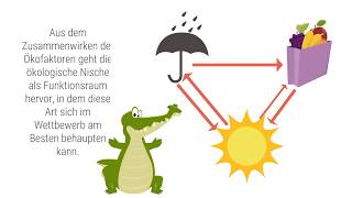 Spektrum erklärt Ökologische Nische [upl. by Neeuq]