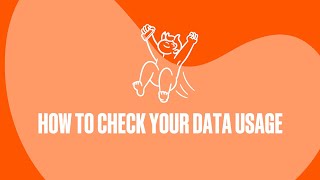 How To Check Your Data Usage  A Help Guide [upl. by Yllen]