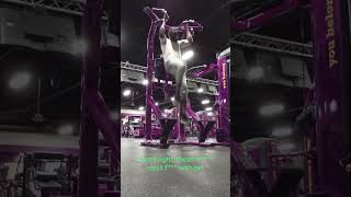 hardbody stantheman planetfitness gym gymrat gymmotivation gymlife fitness healthylifestyle [upl. by Kahcztiy302]