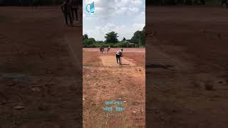 ABIN REALTECH  CHUNGAM SOFTBALL PREMIERE LEAGUE S1cricket mallucricketers keralacricketer mallu [upl. by Kinson109]