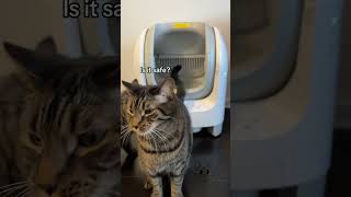 C1 Cat Litter BoxThe safer and smarter choice for cat [upl. by Lladnek]