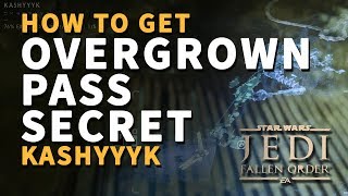 Overgrown Pass Secret Location Kashyyyk Star Wars Jedi Fallen Order [upl. by Elleirua]