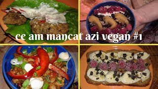 ce am mancat azi vegan 1 [upl. by Eigna]