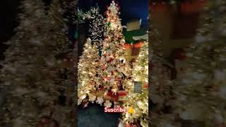 POLO NORTE🎄😃 youtubeshorts video youtube viralvideo christmas short decoration shakiratrend [upl. by Clifton150]