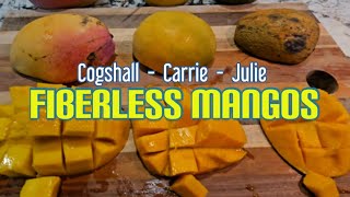 Cutting Open FIBERLESS Mangos [upl. by Corbet427]