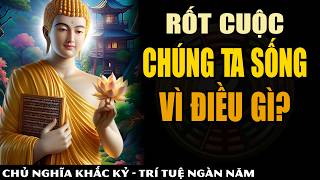 Rốt Cuộc Chúng Ta Sống Vì Điều Gì  9 Bài Học Tinh Hoa Từ Nhân Gian  Khắc Kỷ 365 [upl. by Eniarral631]