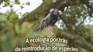 A ecologia por trás da reintrodução de espécies [upl. by Akedijn]