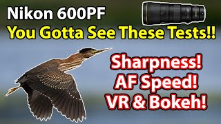 Nikon 600 PF Tests amp Comparisons Sharpness AF Speed Bokeh VR Focus Breathing And More [upl. by Annael825]