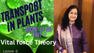 Vital Force Theory  Ascent Of Sap  Best Explanation 👌 👍🏼 Biology Ocean [upl. by Noiramed702]