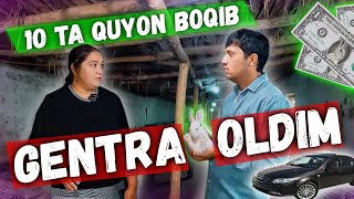 Quyonchilik biznesi xaqida 5ta quyon bilan boshlab oyiga 1500 foyda topayotgan ayol qissasi [upl. by Sydelle]