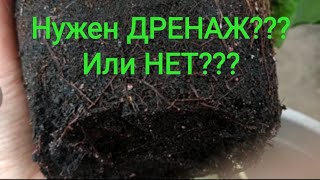 Цикламен Cyclamen Нужен ДРЕНАЖ Или НЕТ [upl. by Eedya]