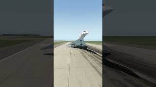 Concorde landing pilot cant see runway simulated [upl. by Reece627]