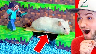 World’s BEST Minecraft Hamster MAZE Must See [upl. by Suivatco]