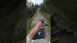 Dyfi bike park Oakley icon way second BIG DROP and jumps mtb downhillbike mountainbike dyfi [upl. by Nnairol]