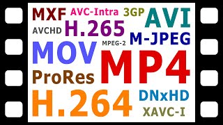 Explaining Digital Video Formats Codecs amp Containers [upl. by Jameson213]