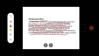 Q Describe different types of blood vessels Discuss about Windkessel effect [upl. by Balough]