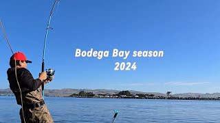 Bodega bay crabbing 2024 [upl. by Ycak]