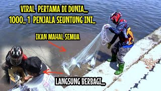 JALA IKAN DI SUNGAI MUARA 1000 SATU PENJALA SEUNTUNG INI [upl. by Lavicrep]