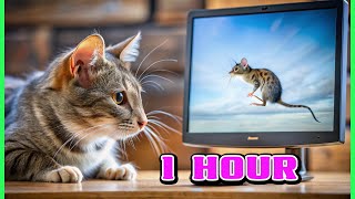 😺CAT GAMES l 1 Hour of Mouse amp Bug Fun for Cats Videos for Cats to Watch [upl. by Kata]