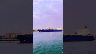 Cruise beautiful moment at sea🌊 ⛴️ cruiseship kochi journey yatra ocean ship youtubeshorts [upl. by Ivets]