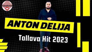 Anton Delija  Deffa x TALLAVA x 2023 [upl. by Caryl421]