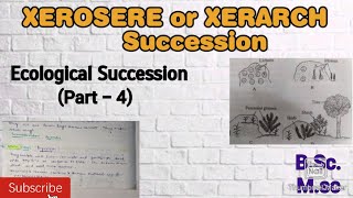 Ecological Succession Part4 Xerosere or Xerarch Succession Succession in Terrestrial Ecosystem [upl. by Ehc]