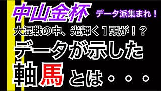 【中山金杯】データが示した軸馬とは！？ [upl. by Purdum]