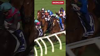 Watch This Jockeys MidRace Move For The Ages [upl. by Kcirdlek]