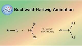 BuchwaldHartwig Amination Mechanism  Organic Chemistry [upl. by Asselim]