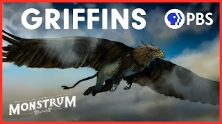 Why Has the Majestic Griffin Been Forgotten  Monstrum [upl. by Aramo]