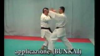 WKF  BASSAI SHO  BUNKAI [upl. by Repsihw]