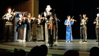 quotMarinero de Lucesquot performed by TMEA Region XX AllRegion High School Mariachi [upl. by Lerrud]