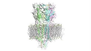 The Gates of Serotonin Cracking the Workings of a Notorious Receptor [upl. by Geminian]