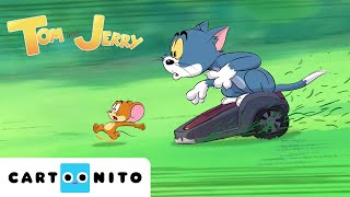 TOM VE JERRY  Çifte Sorun  YENİ Çizgi Film  CartoonitoTurkiye [upl. by Pownall575]