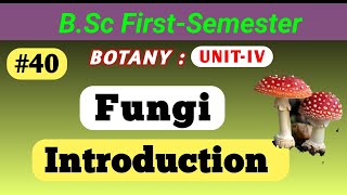 Fungi Introduction  General Characteristics Nutrition life Cycle reproduction  bsc msc fungi [upl. by Viscardi496]